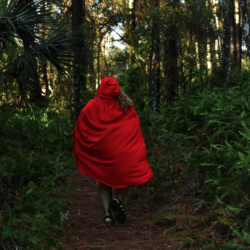 Caperucita Roja: el recorrido de la vida hacia la muerte